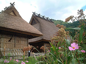茅葺の家