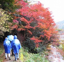 柳生家の菩提寺・芳徳寺に向かう 柳生家の菩提寺・芳徳寺に向かう
