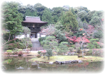 紅葉の円成寺 紅葉の円成寺